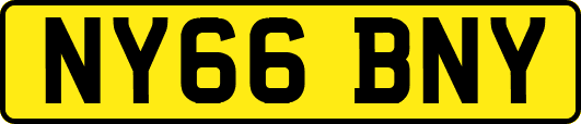 NY66BNY