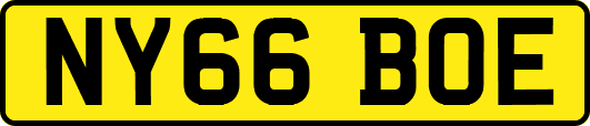 NY66BOE