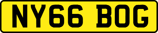 NY66BOG