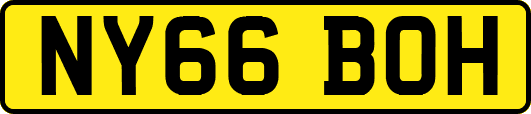 NY66BOH
