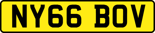 NY66BOV