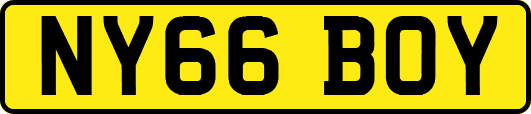 NY66BOY