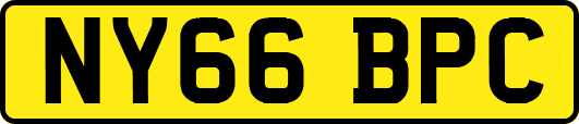 NY66BPC