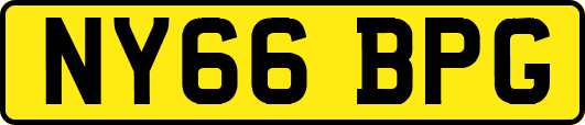 NY66BPG