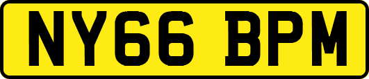 NY66BPM