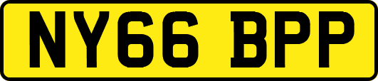 NY66BPP