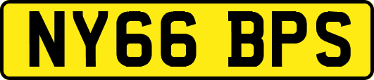 NY66BPS
