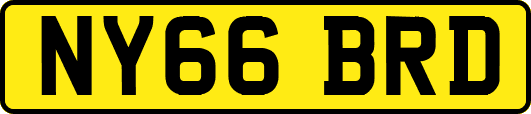 NY66BRD