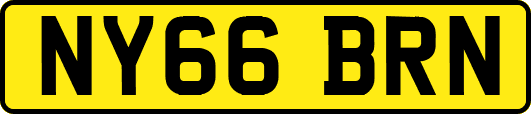 NY66BRN