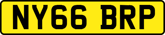 NY66BRP