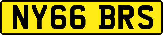 NY66BRS