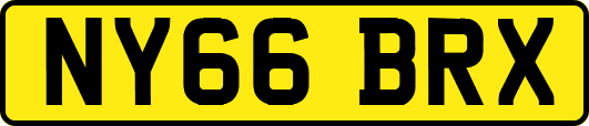 NY66BRX