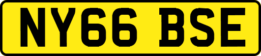 NY66BSE