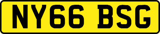 NY66BSG