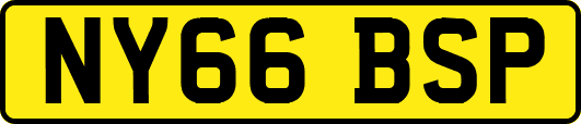 NY66BSP