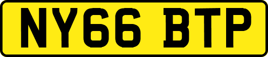 NY66BTP