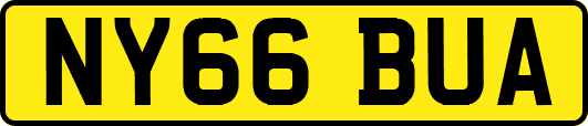 NY66BUA