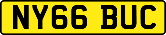 NY66BUC