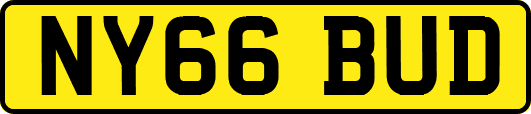 NY66BUD