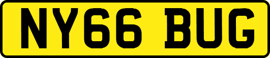 NY66BUG