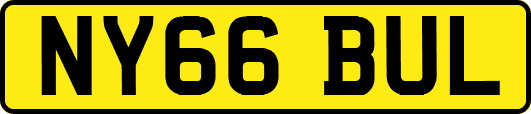 NY66BUL