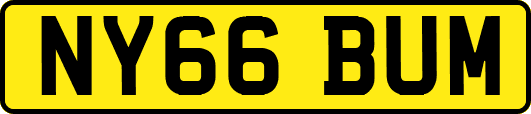 NY66BUM