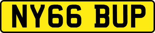 NY66BUP