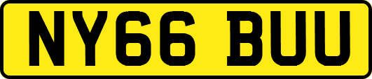 NY66BUU