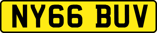NY66BUV