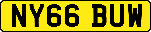 NY66BUW