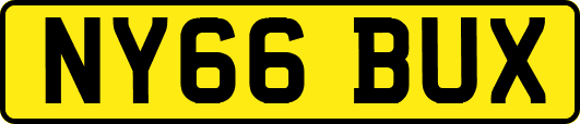 NY66BUX