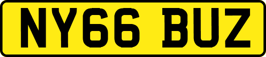 NY66BUZ