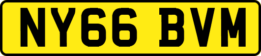 NY66BVM