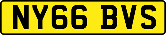 NY66BVS