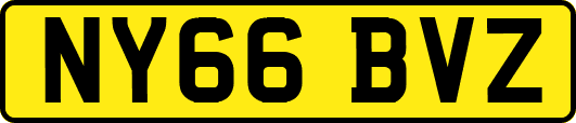 NY66BVZ