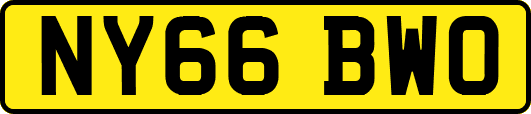 NY66BWO