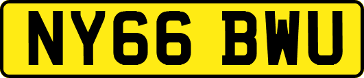 NY66BWU