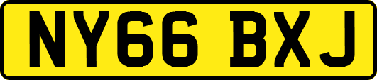 NY66BXJ