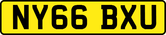 NY66BXU