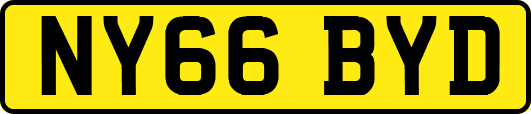 NY66BYD