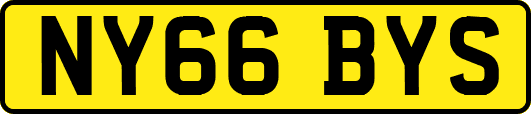 NY66BYS