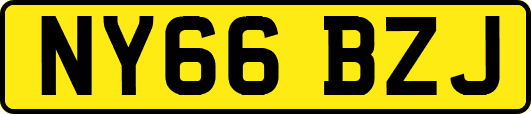 NY66BZJ