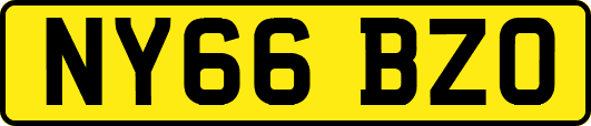 NY66BZO
