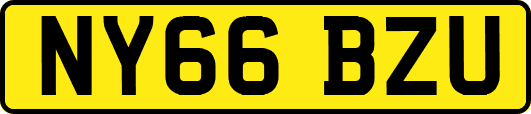 NY66BZU