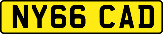 NY66CAD