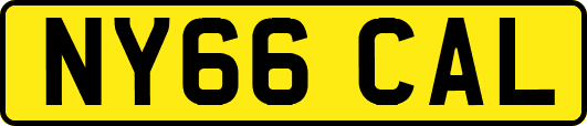 NY66CAL