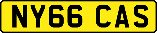 NY66CAS