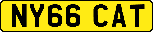 NY66CAT