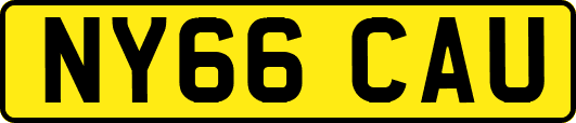 NY66CAU