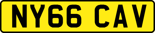 NY66CAV